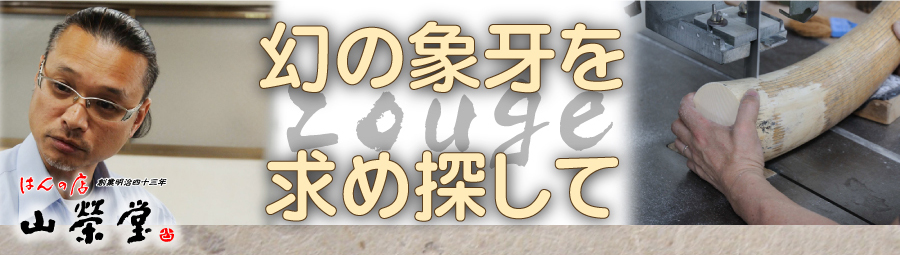 幻の象牙を探し求めて